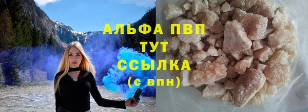 прущие грибы Вязники