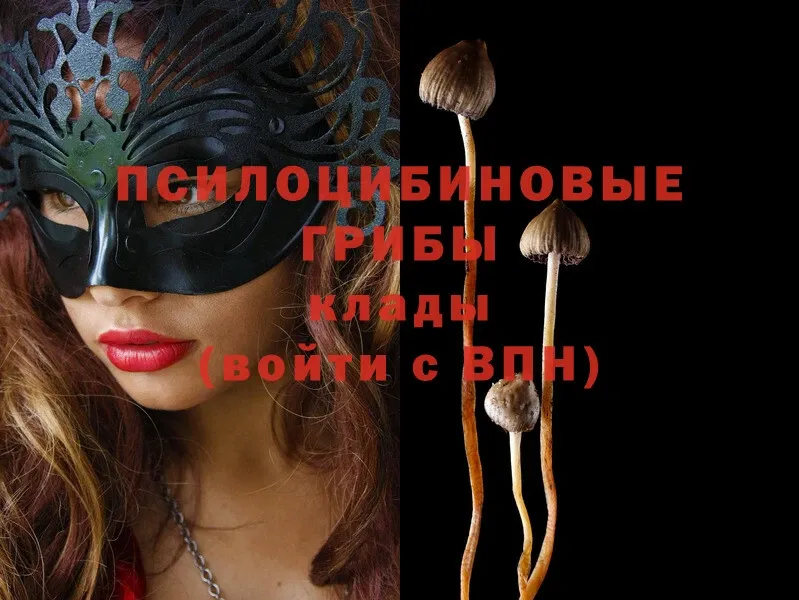 Галлюциногенные грибы Magic Shrooms  что такое   OMG маркетплейс  Ачинск 