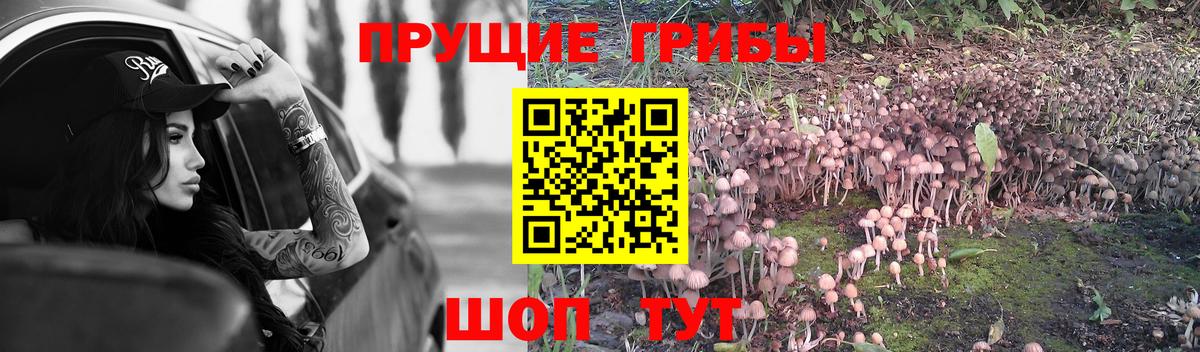 Псилоцибиновые грибы MAGIC MUSHROOMS  Вход с VPN  Ачинск 