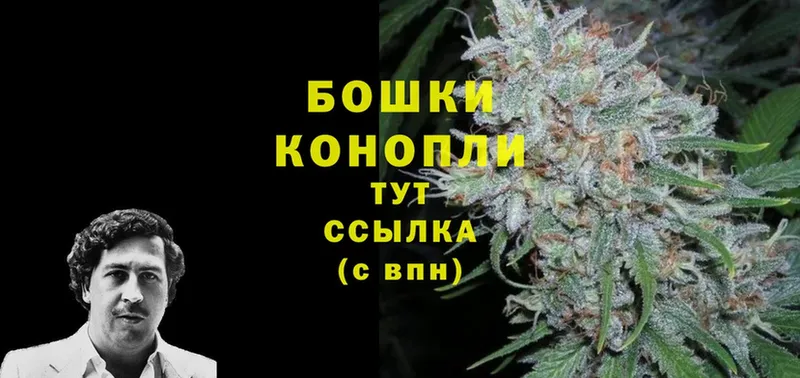 Конопля White Widow  магазин продажи наркотиков  Ачинск 